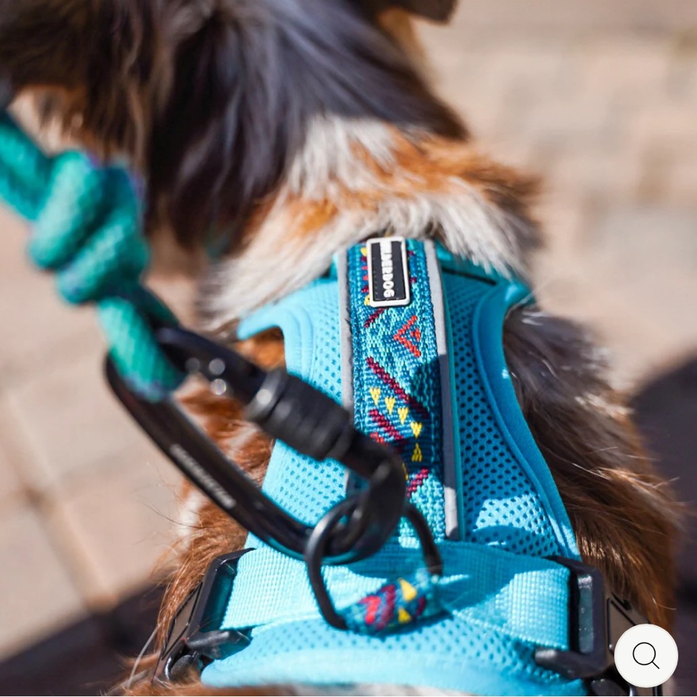 WILDERDOG Dog Harness with front and back clips